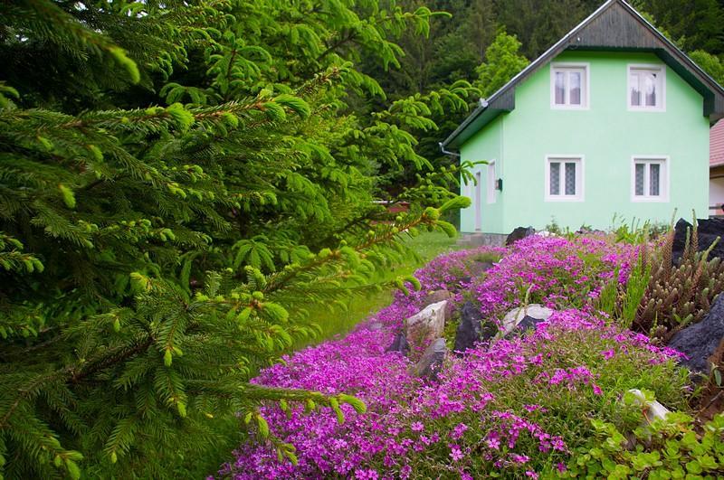 Pataki Kulcsoshaz Villa Izvoare  Dış mekan fotoğraf